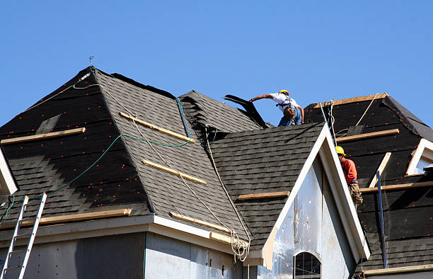 Best Storm Damage Roof Repair  in Brownsville, TN